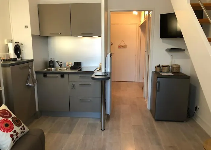Apartament La Brigantine *
